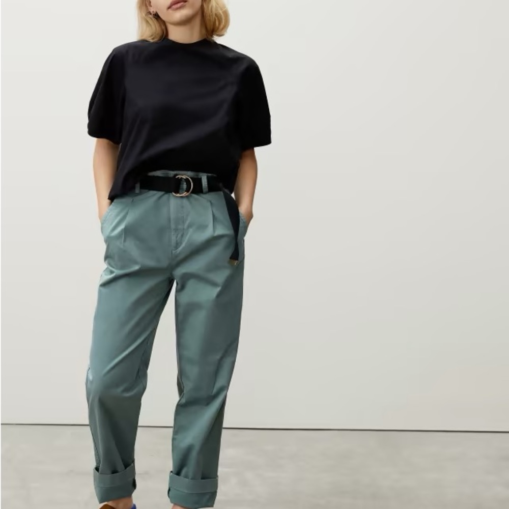 Everlane The Pleated Chino